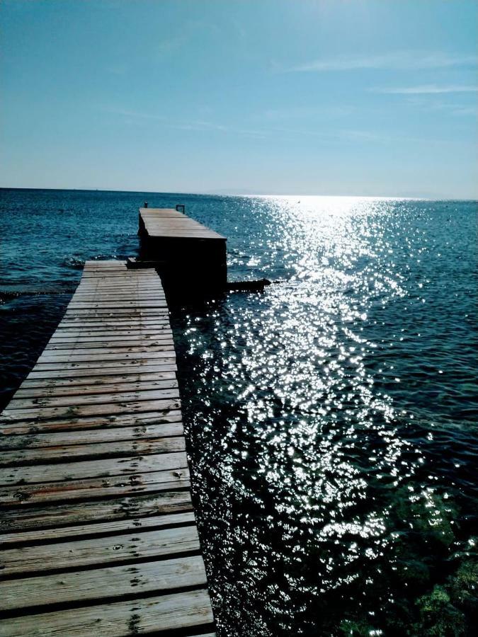 New Seafront Studio Guest House Anavyssos Bagian luar foto