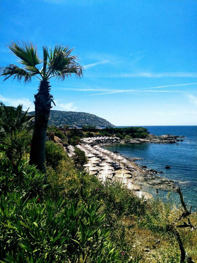 New Seafront Studio Guest House Anavyssos Bagian luar foto